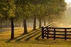 Black fences on horse farm at sunrise on foggy morning, Oldham County, Kentucky Art Print